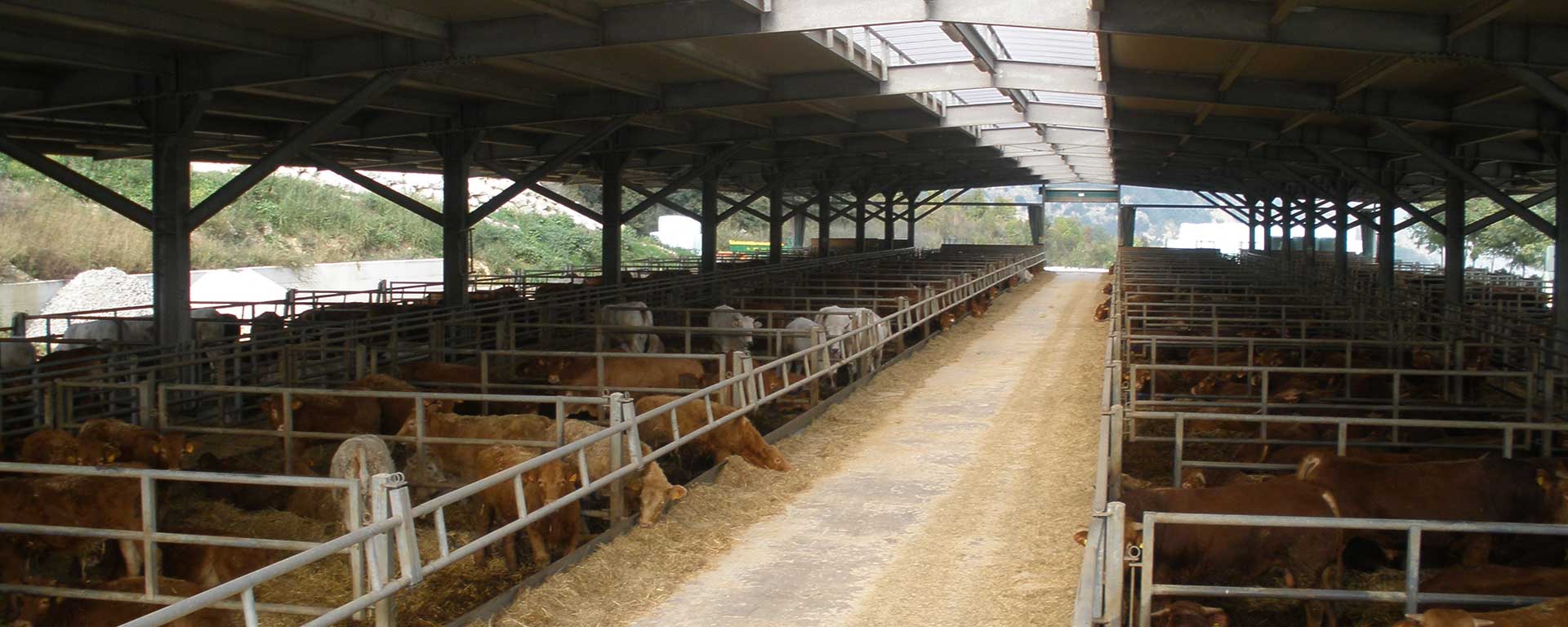 Fattoria Fontetto — foto 4